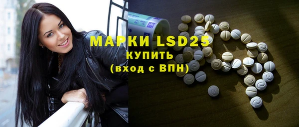 индика Володарск