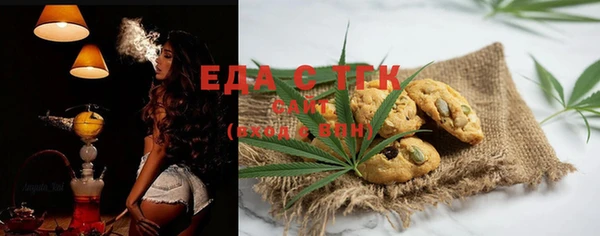 индика Володарск