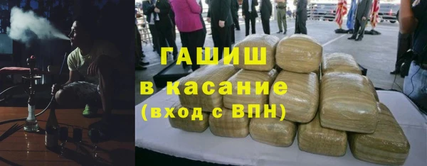 индика Володарск