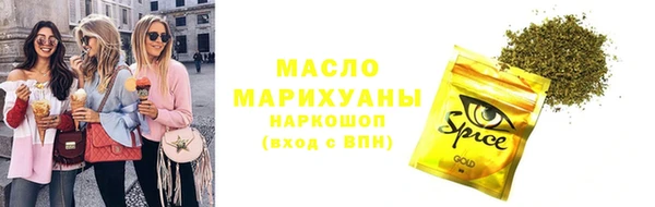 индика Володарск