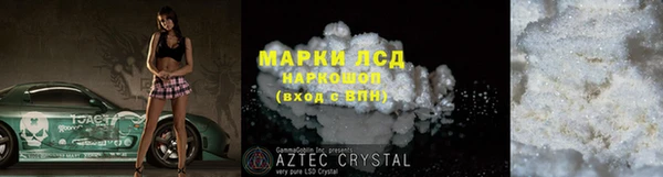 индика Володарск