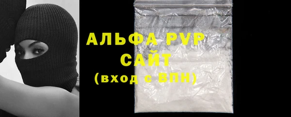 индика Володарск