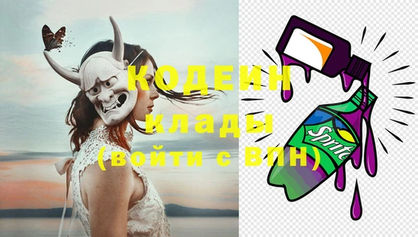 индика Володарск