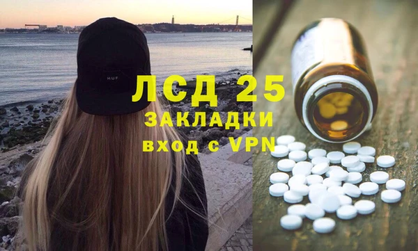 индика Володарск