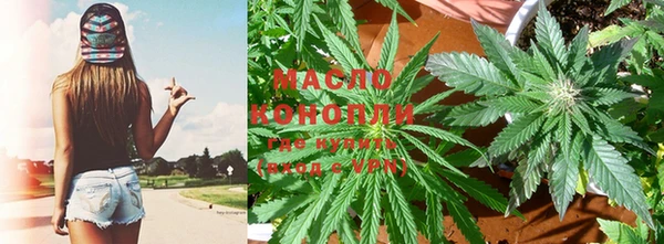 индика Володарск