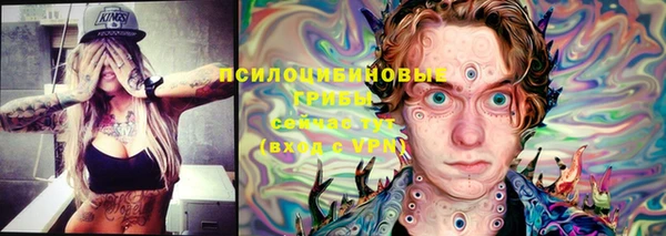 индика Володарск