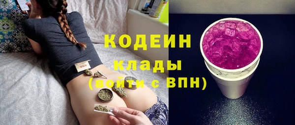 индика Володарск