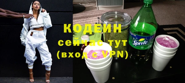 индика Володарск